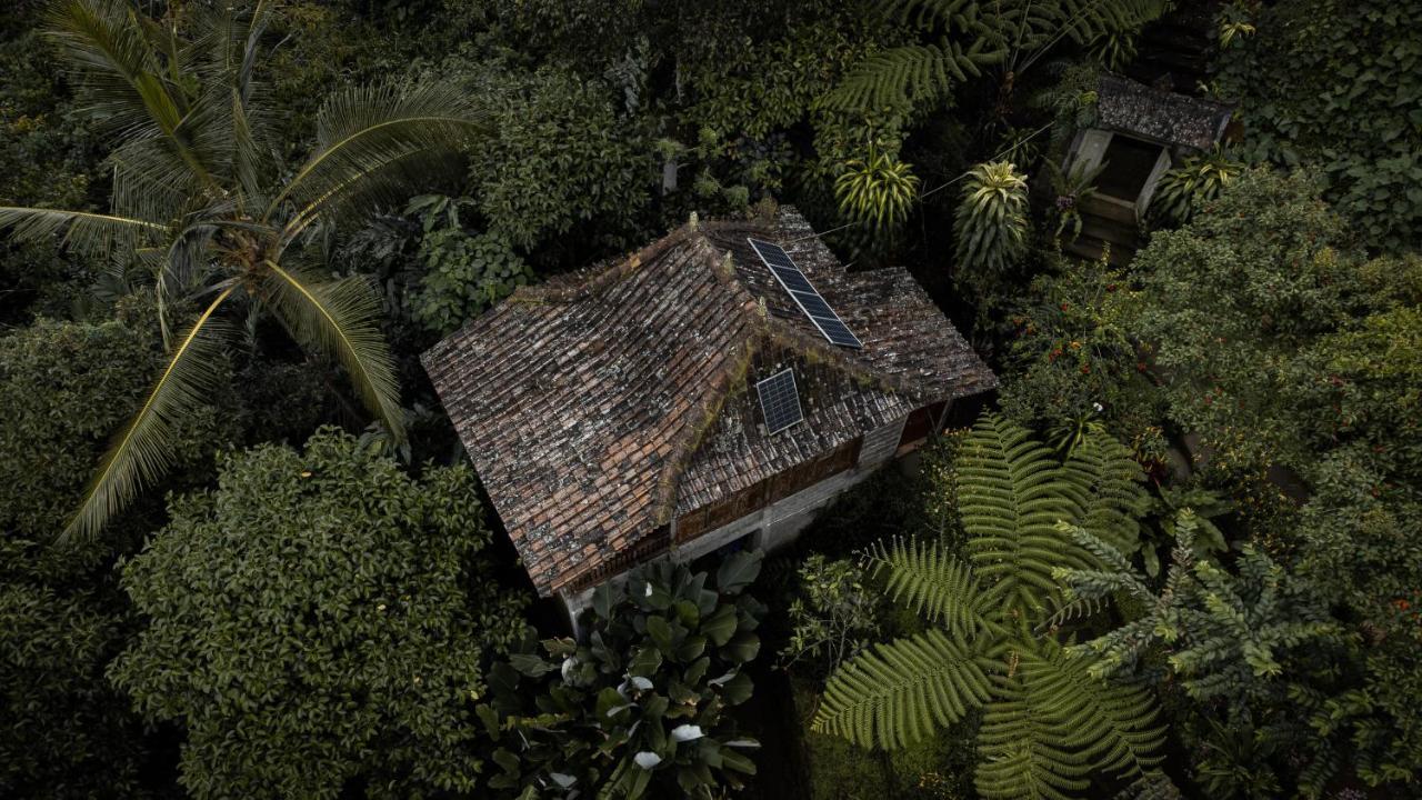 Kebun Kita Eco Lodge Padangan  Esterno foto