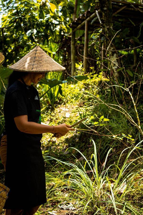 Kebun Kita Eco Lodge Padangan  Esterno foto