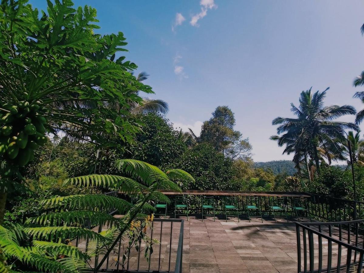 Kebun Kita Eco Lodge Padangan  Esterno foto