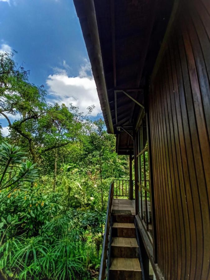 Kebun Kita Eco Lodge Padangan  Esterno foto