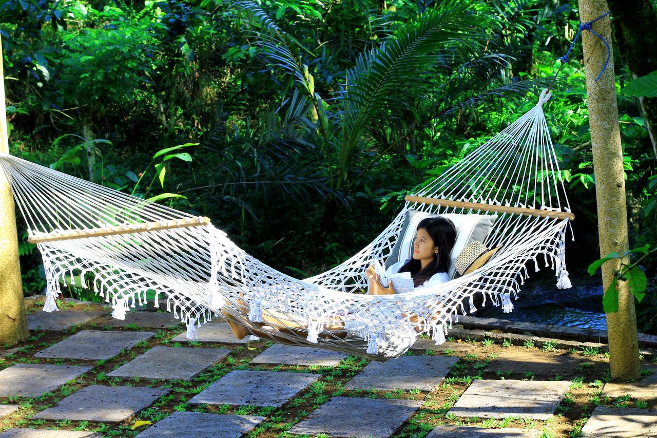 Kebun Kita Eco Lodge Padangan  Esterno foto