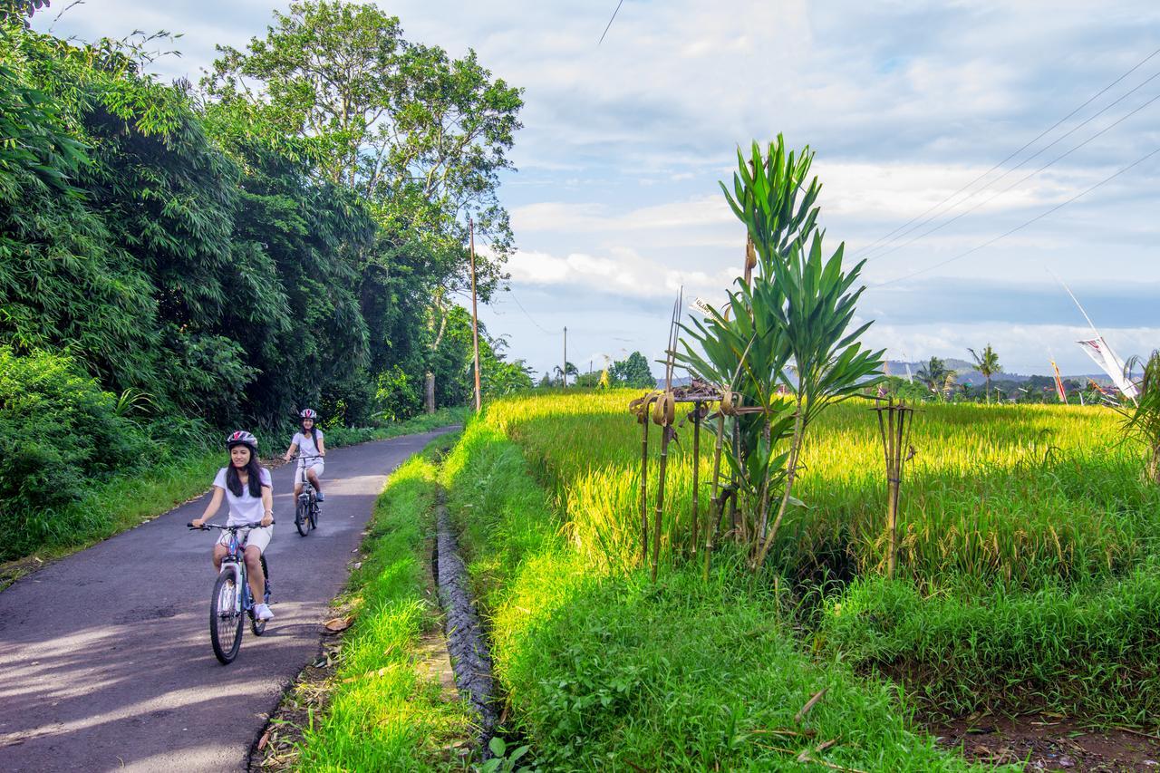 Kebun Kita Eco Lodge Padangan  Esterno foto
